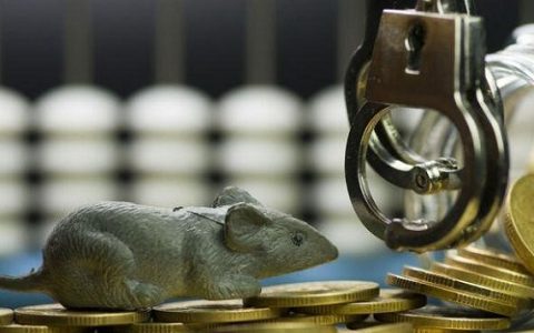 横华国际直播间国际期货